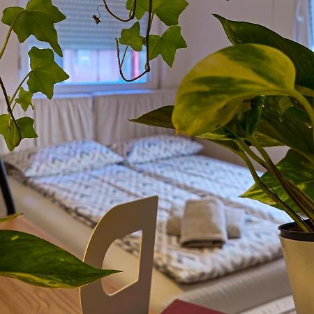 Apartmani ズレニャニン エクステリア 写真