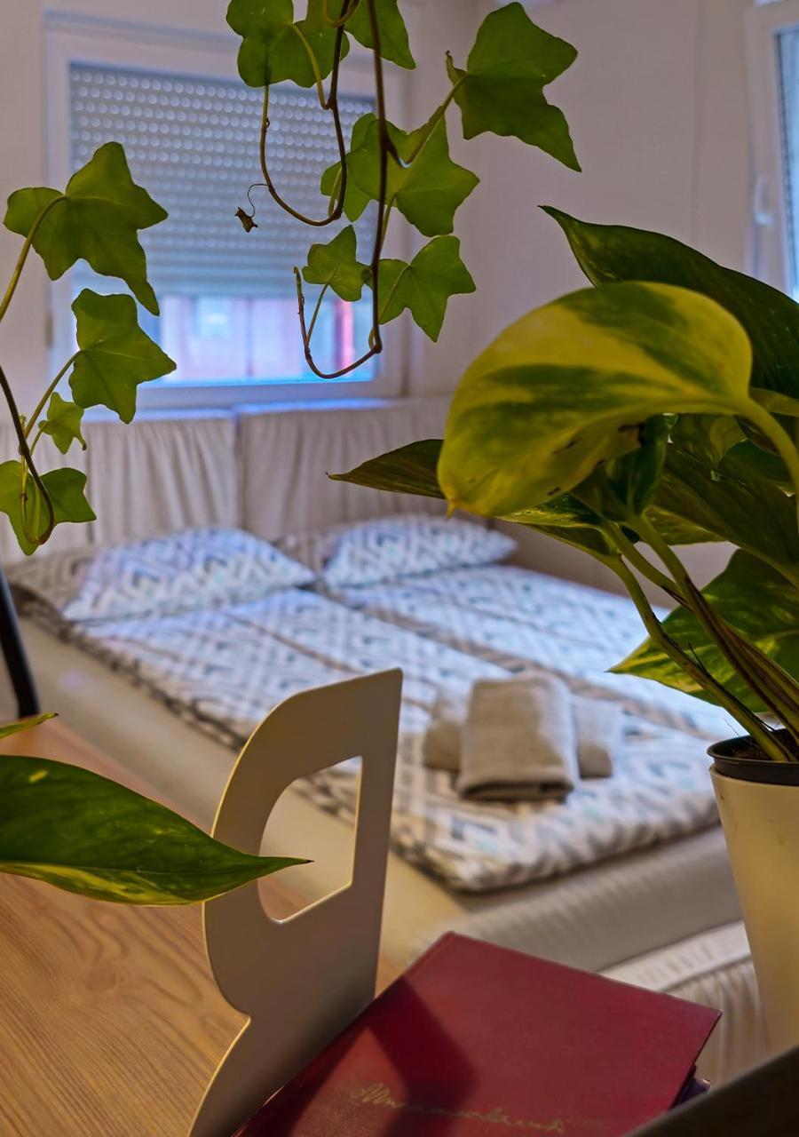 Apartmani ズレニャニン エクステリア 写真